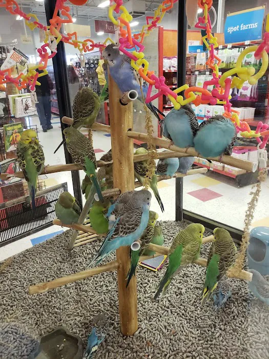 Petco Picture 8