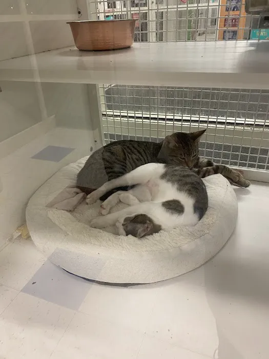 Petco Picture 5