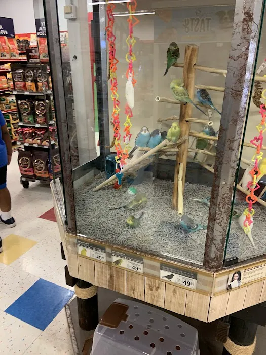 Petco Picture 7