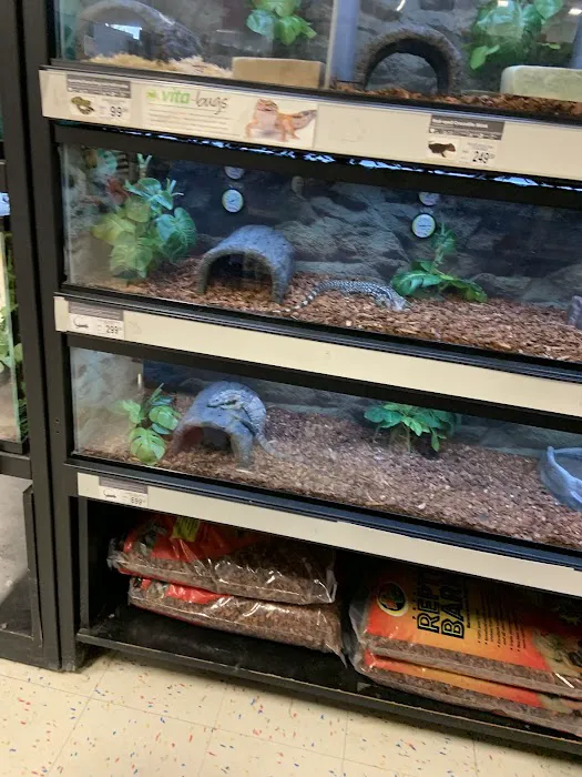 Petco Picture 9