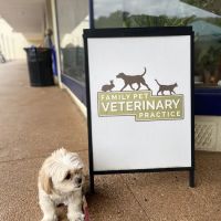 Family Pet Veterinary Practice | Silver Spring MD ico