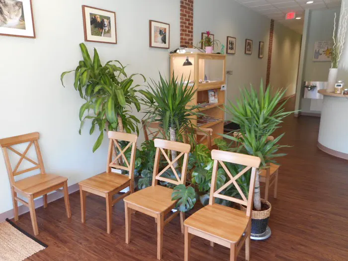 Family Pet Veterinary Practice | Silver Spring MD Picture 3