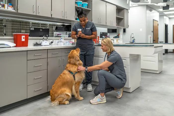 Livewell Animal Hospital at The Parks Picture 2