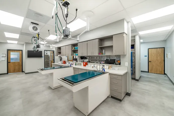 Livewell Animal Hospital at The Parks Picture 1