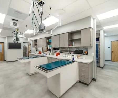 Livewell Animal Hospital at The Parks
