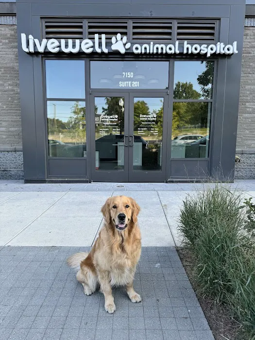 Livewell Animal Hospital at The Parks Picture 9