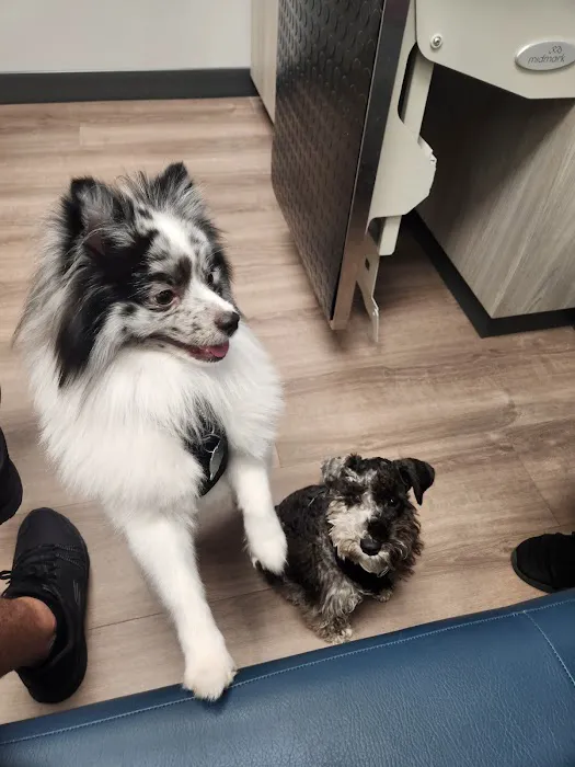 Livewell Animal Hospital at The Parks Picture 8