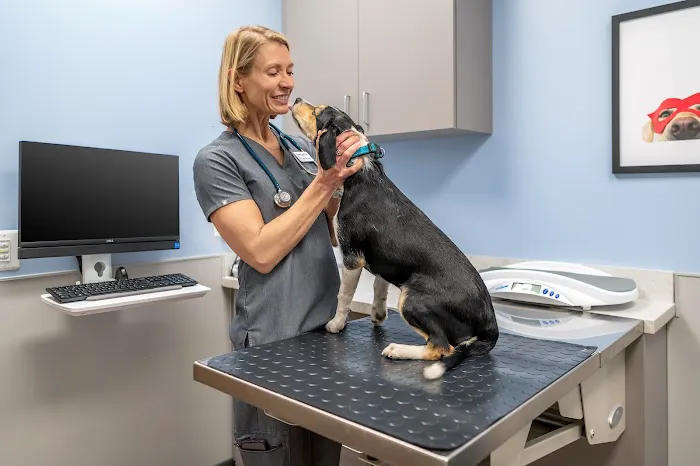 Livewell Animal Hospital at The Parks Picture 7