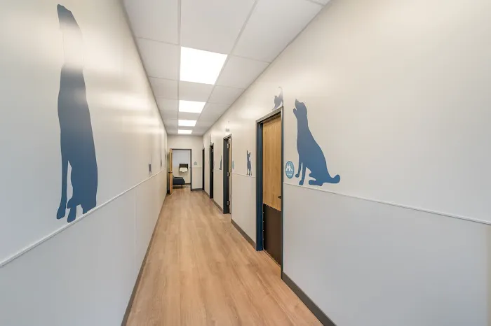 Livewell Animal Hospital at The Parks Picture 5