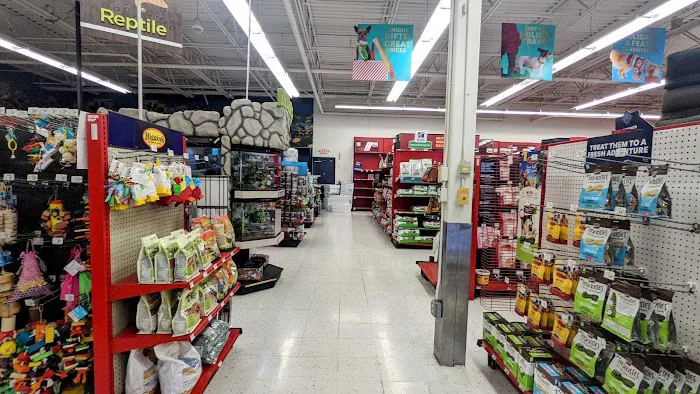 Petco Picture 2