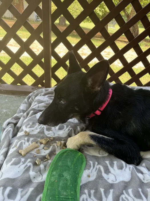 Petco Picture 3