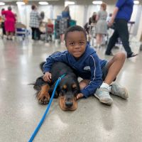 Liberty Falls Veterinary Clinic ico