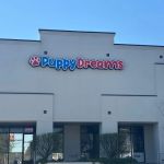 Puppy Dreams - Memphis
