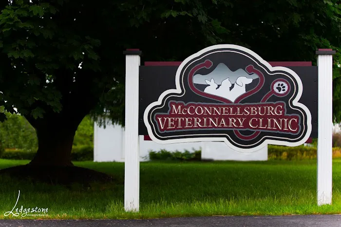 McConnellsburg Veterinary Clinic Picture 2