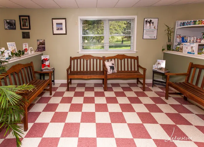 McConnellsburg Veterinary Clinic Picture 8