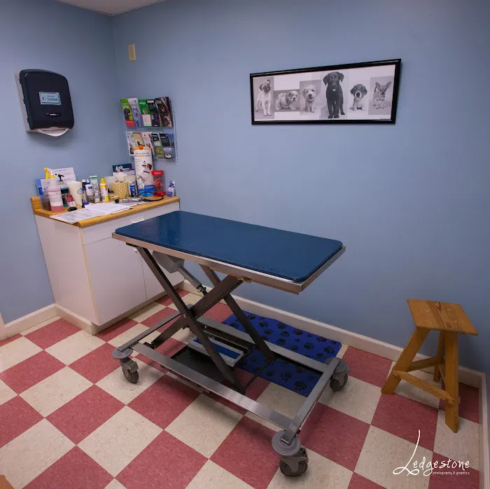 McConnellsburg Veterinary Clinic Picture 10