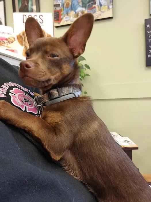 McConnellsburg Veterinary Clinic Picture 9