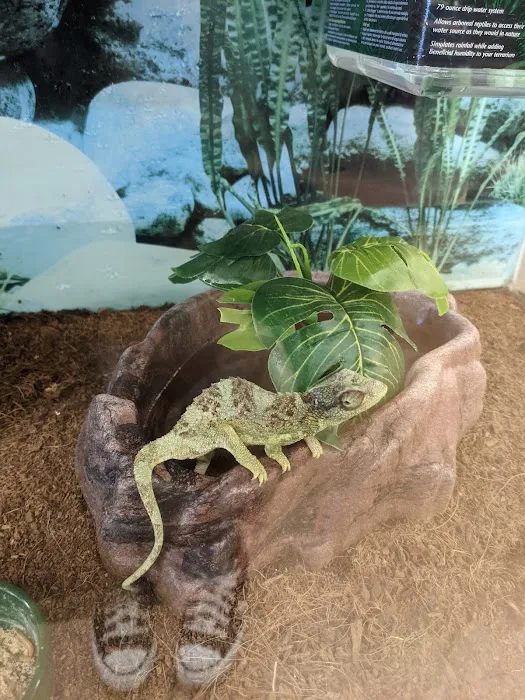 Petco Picture 9