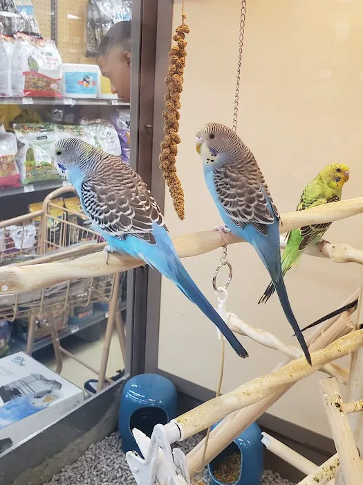 Petco Picture 6