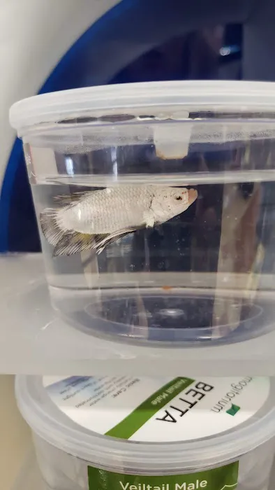 Petco Picture 2