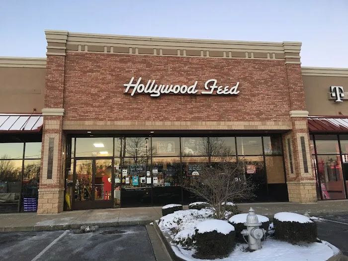 Hollywood Feed Picture 7