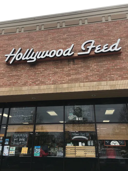Hollywood Feed Picture 10