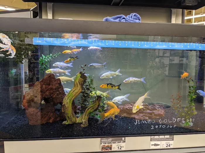 Petco Picture 10