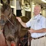 Valley Equine Associates PLLC