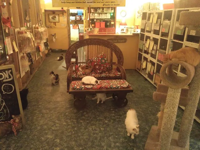 House of Mews Picture 4