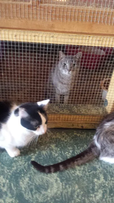House of Mews Picture 2