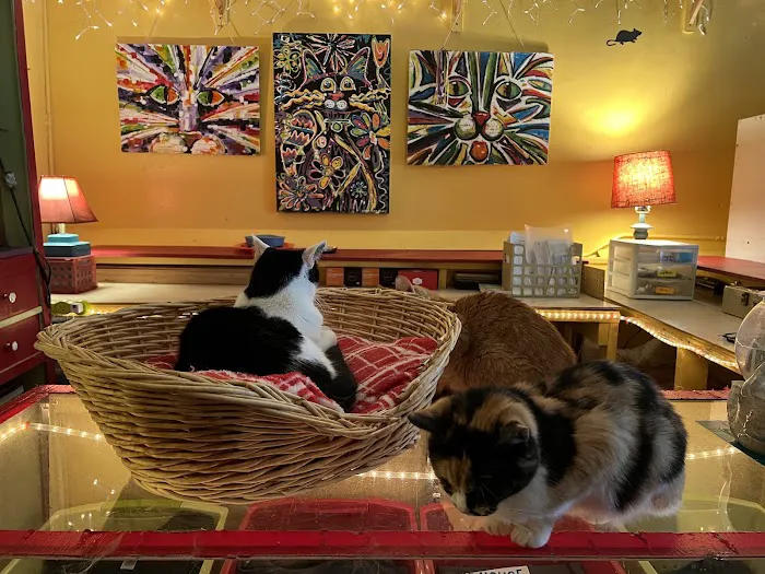 House of Mews Picture 5