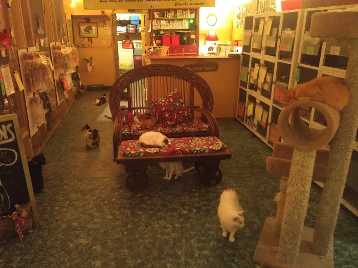 House of Mews Picture 9