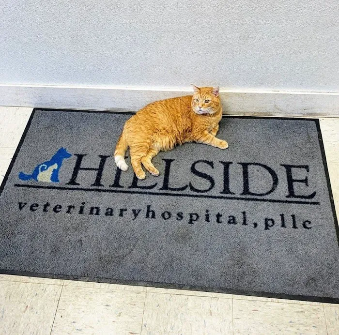 Hillside Veterinary Hospital Picture 10