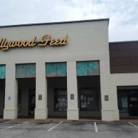 Hollywood Feed ico