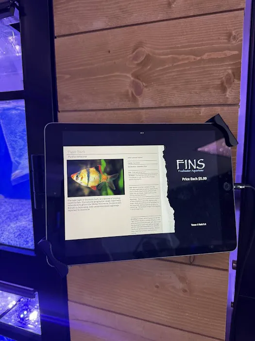 FINS Freshwater Aquariums Picture 3