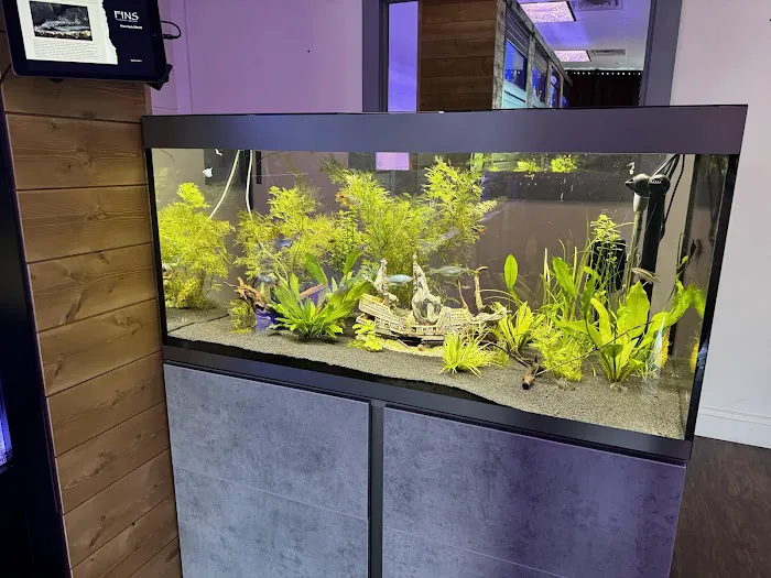 FINS Freshwater Aquariums Picture 1