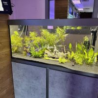 FINS Freshwater Aquariums ico