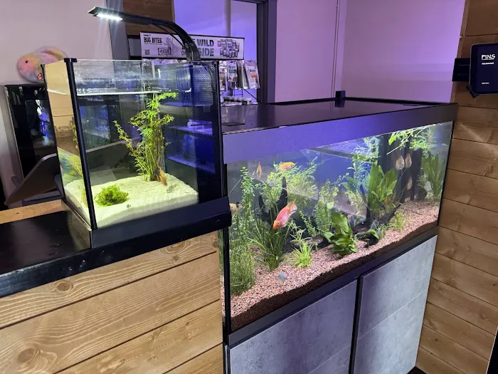 FINS Freshwater Aquariums Picture 6