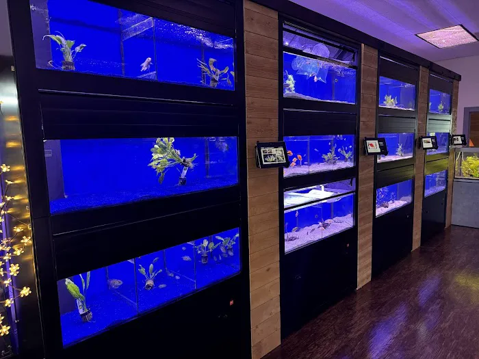 FINS Freshwater Aquariums Picture 4