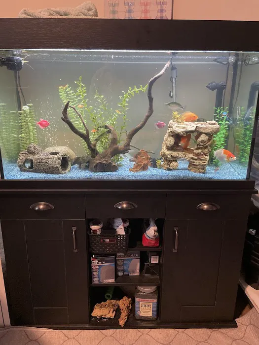 FINS Freshwater Aquariums Picture 5