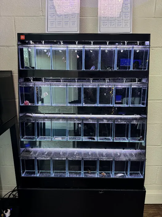 FINS Freshwater Aquariums Picture 7