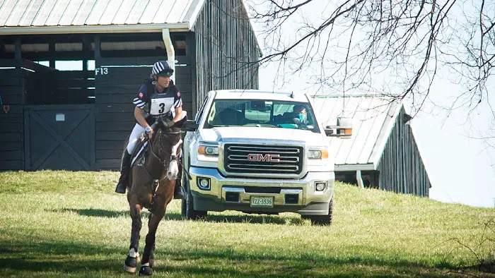 Total Equine Veterinary Associates, PC Picture 1
