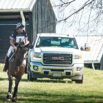Total Equine Veterinary Associates, PC
