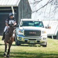 Total Equine Veterinary Associates, PC ico