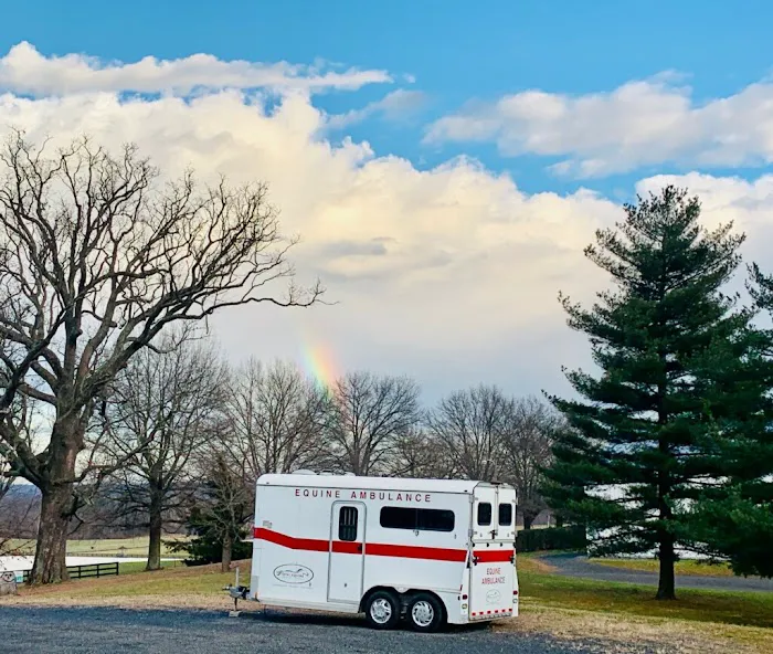 Total Equine Veterinary Associates, PC Picture 7