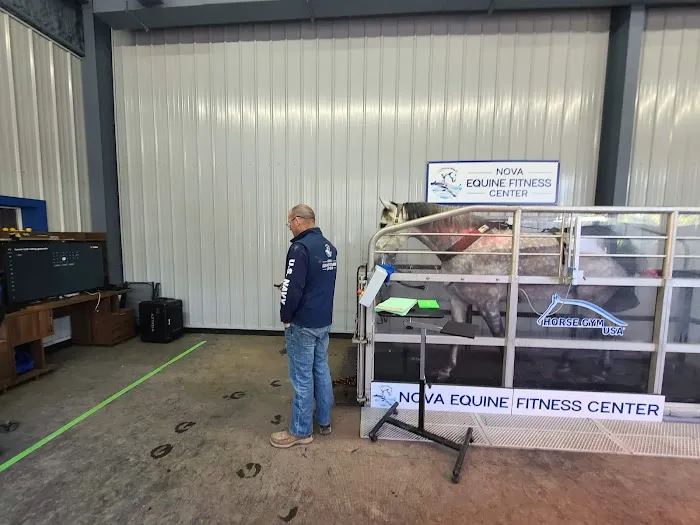 Total Equine Veterinary Associates, PC Picture 6