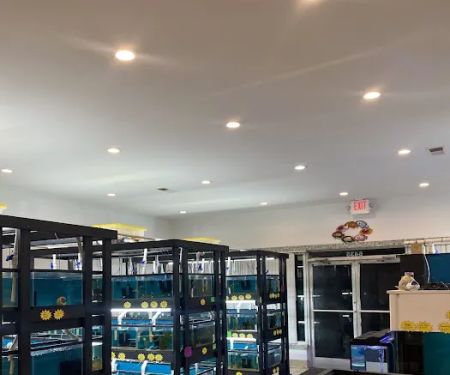 RO Aquatics & Exotics