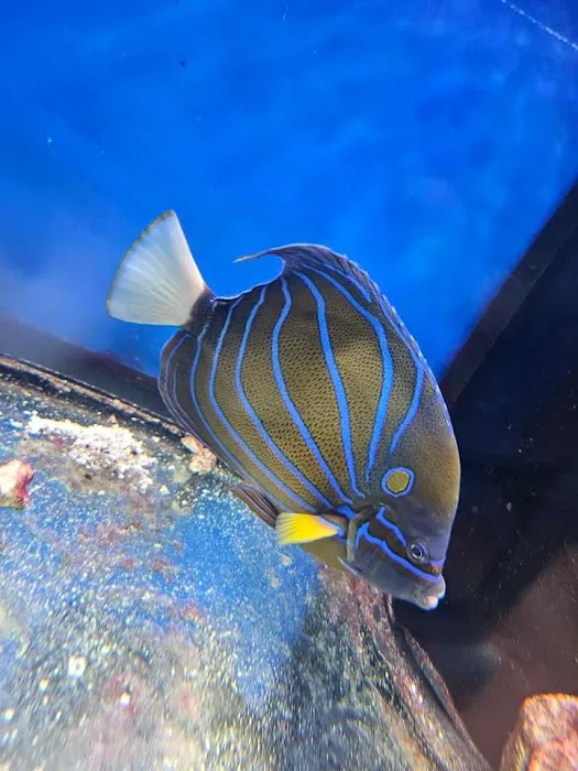 RO Aquatics & Exotics Picture 3