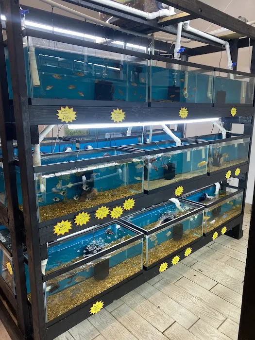 RO Aquatics & Exotics Picture 8