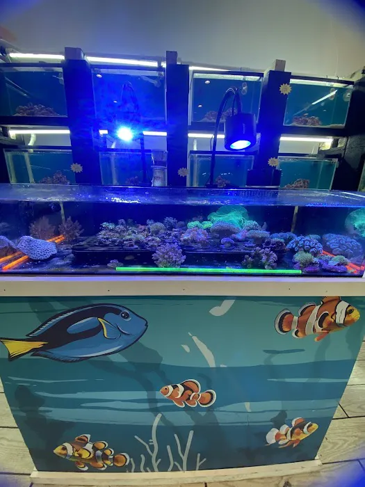 RO Aquatics & Exotics Picture 10